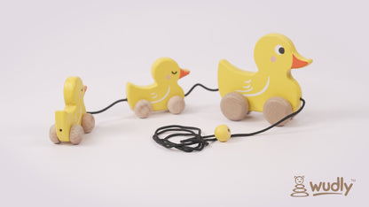 Wuldy - Pull Duck Family